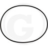 1210020600 Comet Oring