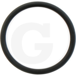 1210023300 Comet Oring 18,77x1,78