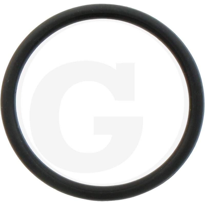 1210023300 Comet Oring 18,77x1,78
