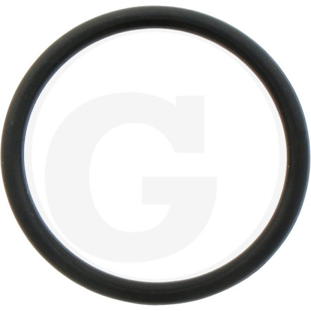 1210023300 Comet Oring 18,77x1,78