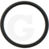 1210023300 Comet Oring 18,77x1,78