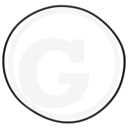 1210034500 Comet Oring 101,32x1,78