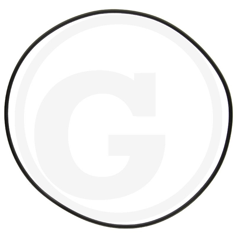 1210034500 Comet Oring 101,32x1,78