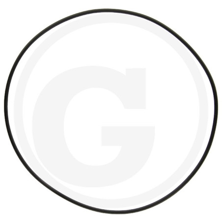 1210034500 Comet Oring 101,32x1,78