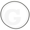 1210034500 Comet Oring 101,32x1,78