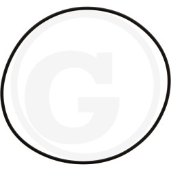 1210034700 Comet Oring 75,92x1,78
