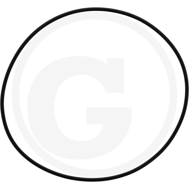 1210034700 Comet Oring 75,92x1,78