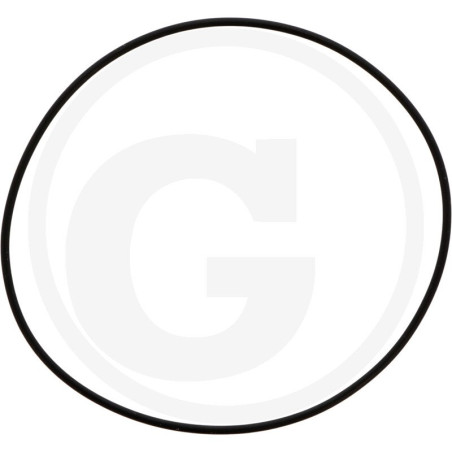 1210034700 Comet Oring 75,92x1,78