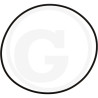 1210034700 Comet Oring 75,92x1,78