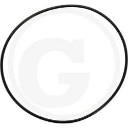 1210034900 Comet Oring 142,5x3,53