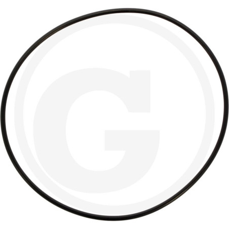 1210034900 Comet Oring 142,5x3,53