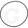 1210034900 Comet Oring 142,5x3,53