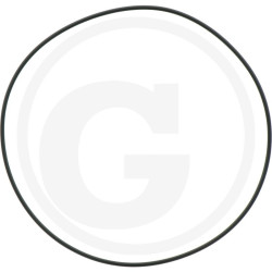 1210035300 Comet Oring 145,72x2,62