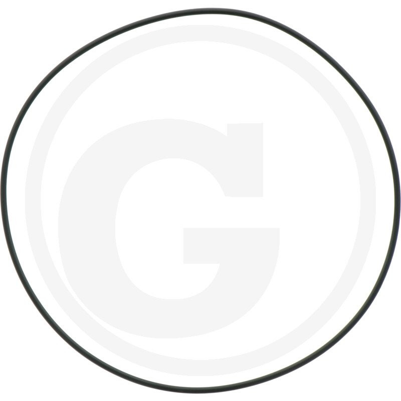 1210035300 Comet Oring 145,72x2,62