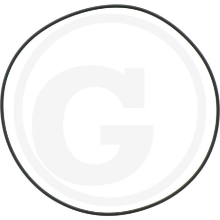 1210035300 Comet Oring 145,72x2,62