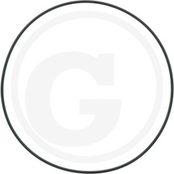 1210035900 Comet Oring 196,4x3,53