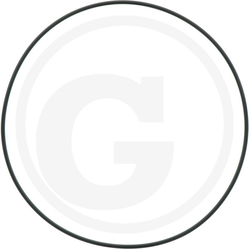 1210035900 Comet Oring 196,4x3,53