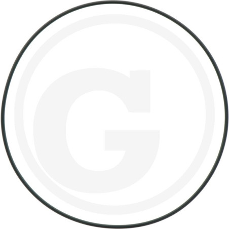 1210035900 Comet Oring 196,4x3,53