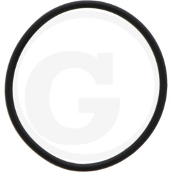 1210038500 Comet Oring 45,69x2,62