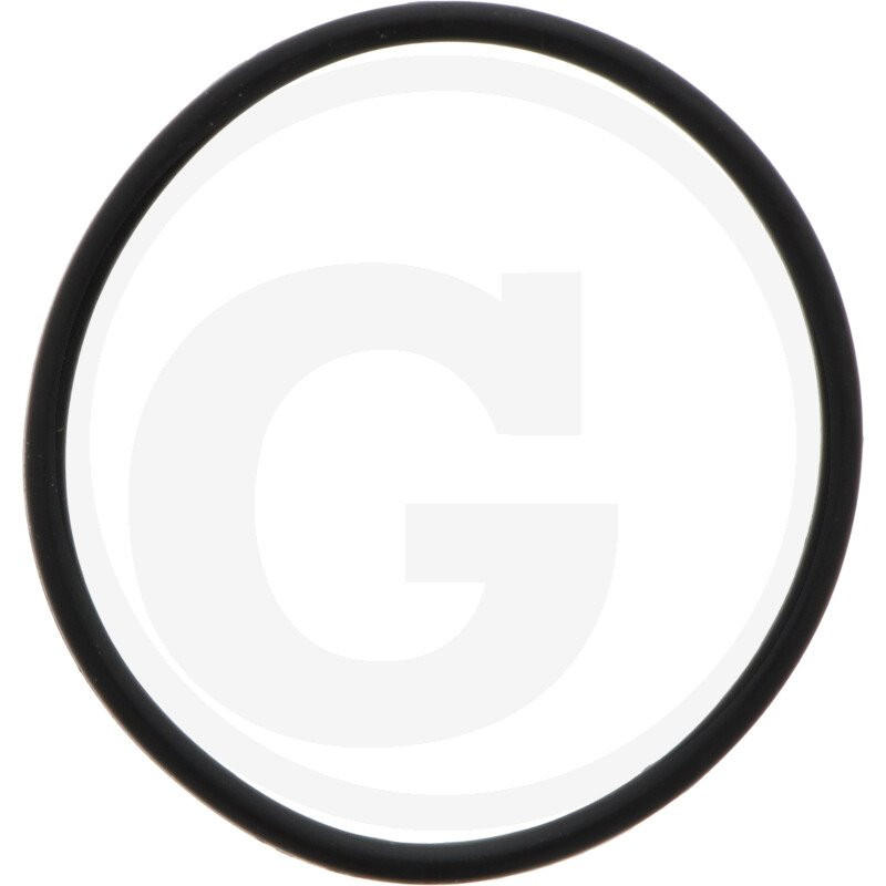 1210038500 Comet Oring 45,69x2,62