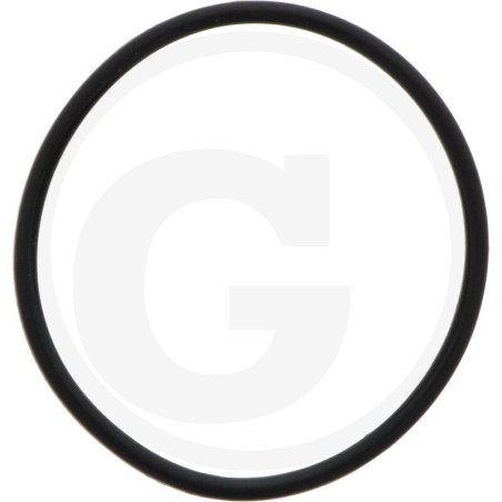 1210038500 Comet Oring 45,69x2,62