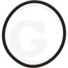 1210038500 Comet Oring 45,69x2,62