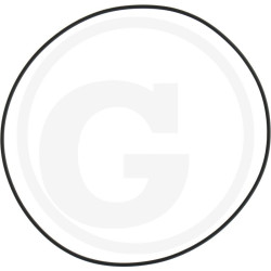 1210038900 Comet Oring 107,67x1,78
