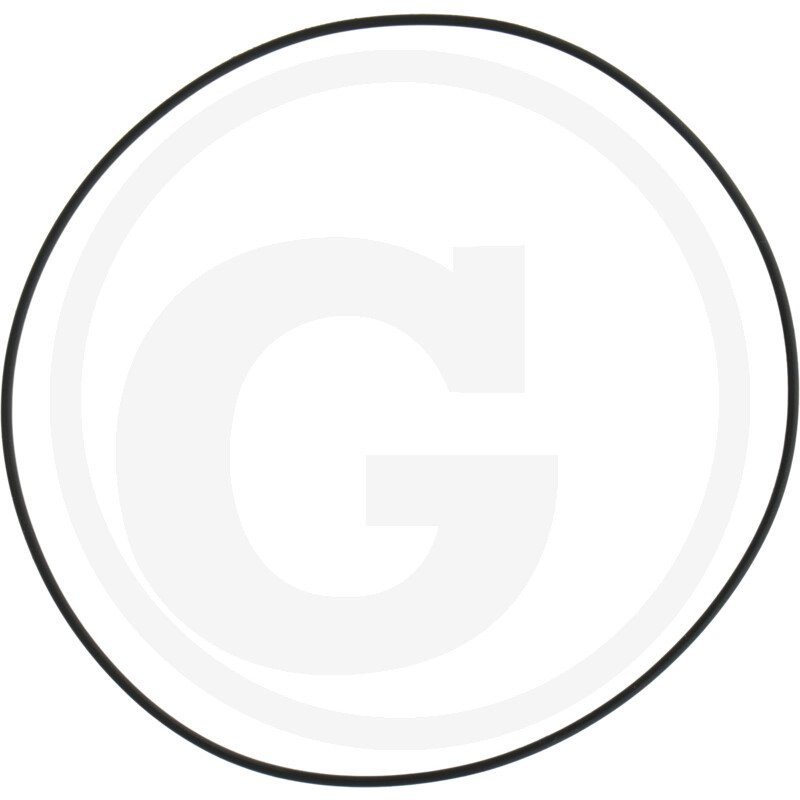1210038900 Comet Oring 107,67x1,78