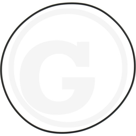 1210038900 Comet Oring 107,67x1,78