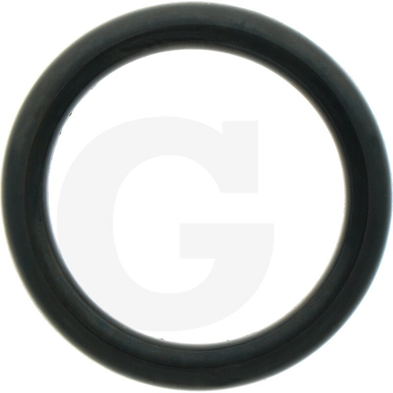 1210041900 Comet Oring fi 6 x 37 x 49 mm