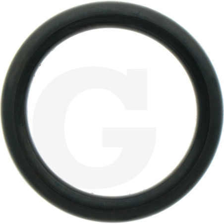 1210041900 Comet Oring fi 6 x 37 x 49 mm