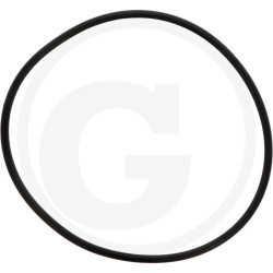 1210043100 Comet Oring