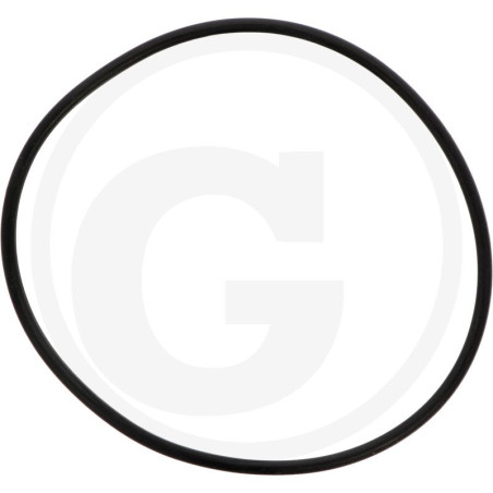 1210043100 Comet Oring
