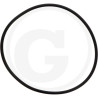 1210043100 Comet Oring
