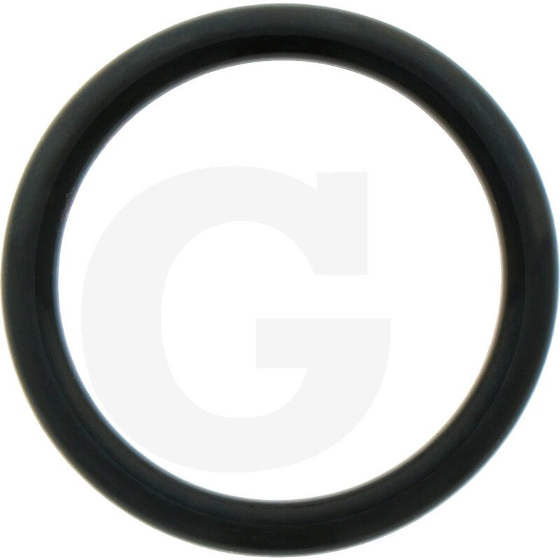 1210044300 Comet Oring 25,8x3,53