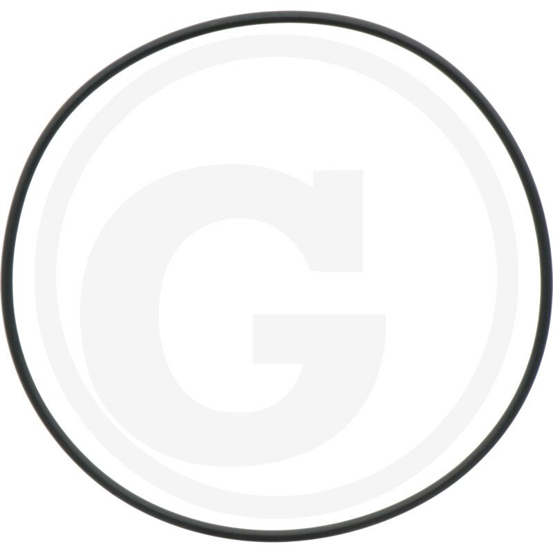 1210070100 Comet Oring fi 3 x 120 mm