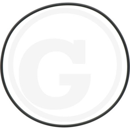1210070100 Comet Oring fi 3 x 120 mm
