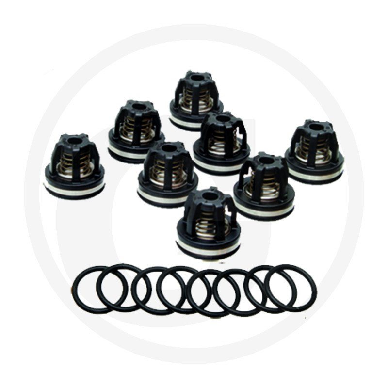 1964 Zawór AR fi 1409050 31,5mm orin 620030, AR 1064 - zestaw 8szt Annovi Reverberi