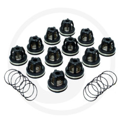 2114 Zawór AR 759054 fi 39mm orin 680070, AR215-280 BP -zestaw 12szt Annovi Reverberi