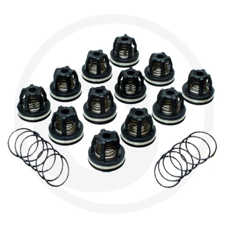 2114 Zawór AR 759054 fi 39mm orin 680070, AR215-280 BP -zestaw 12szt Annovi Reverberi
