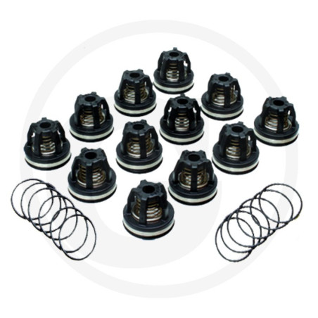 2114 Zawór AR 759054 fi 39mm orin 680070, AR215-280 BP -zestaw 12szt Annovi Reverberi