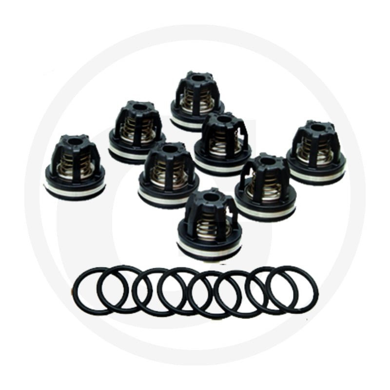 2374 Zawór AR 759054 fi 39mm orin 680070, AR -zestaw 8szt Annovi Reverberi