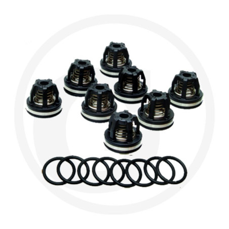 2374 Zawór AR 759054 fi 39mm orin 680070, AR -zestaw 8szt Annovi Reverberi