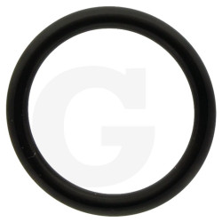 390180 Oring Annovi Reverberi