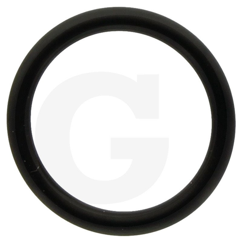 390180 Oring Annovi Reverberi