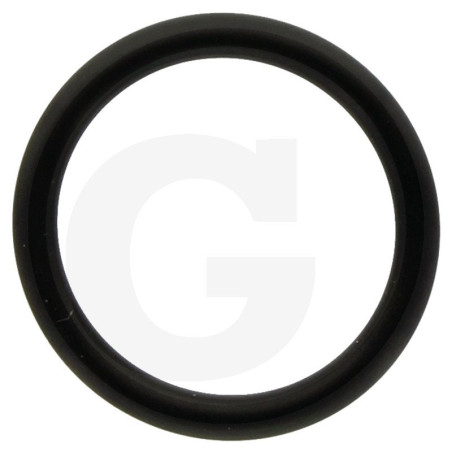 390180 Oring Annovi Reverberi
