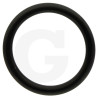 390180 Oring Annovi Reverberi