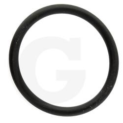 390290 Oring Annovi Reverberi