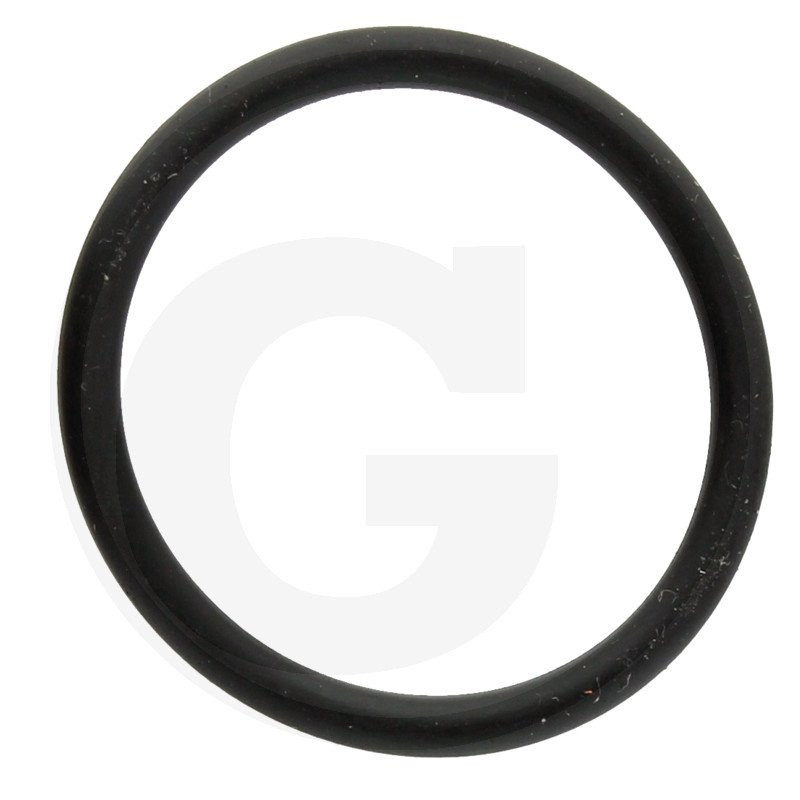 390290 Oring Annovi Reverberi