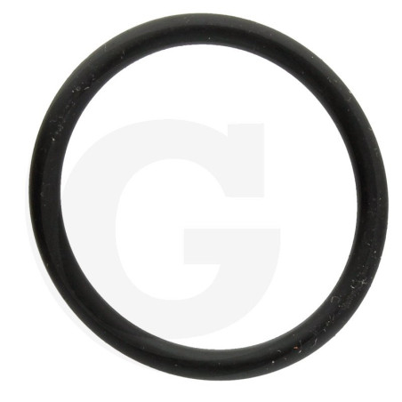 390290 Oring Annovi Reverberi